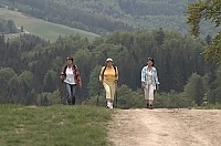 nordic walking