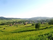 widoki
