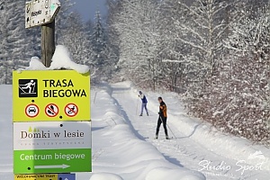 Trasa biegowa Tylicz Krynica