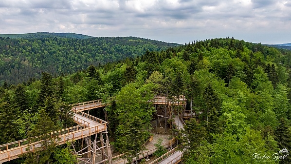 wieża widokowa Krynica