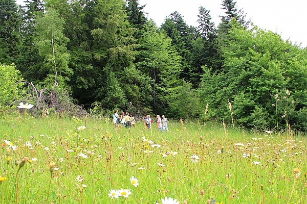 Jutro bezpłatne szkolenie nordic walking