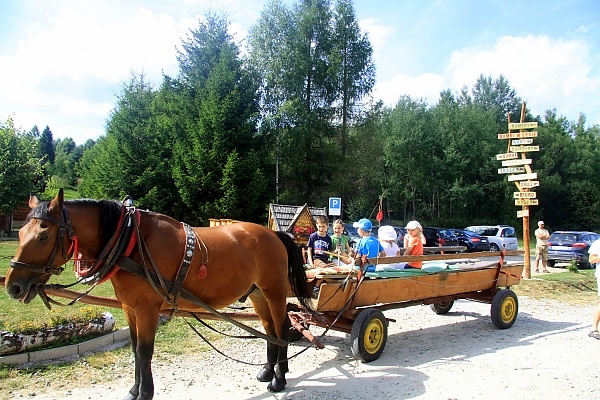 Sierpień w Domkach w lesie w Tyliczu